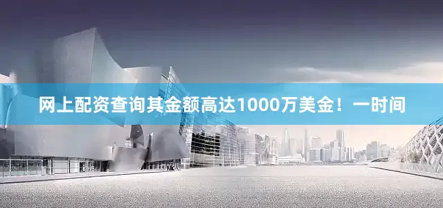 网上配资查询其金额高达1000万美金！一时间