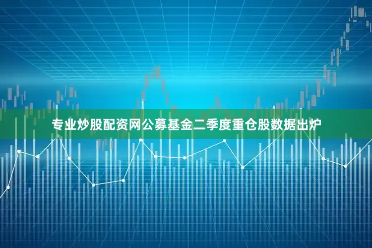 专业炒股配资网公募基金二季度重仓股数据出炉