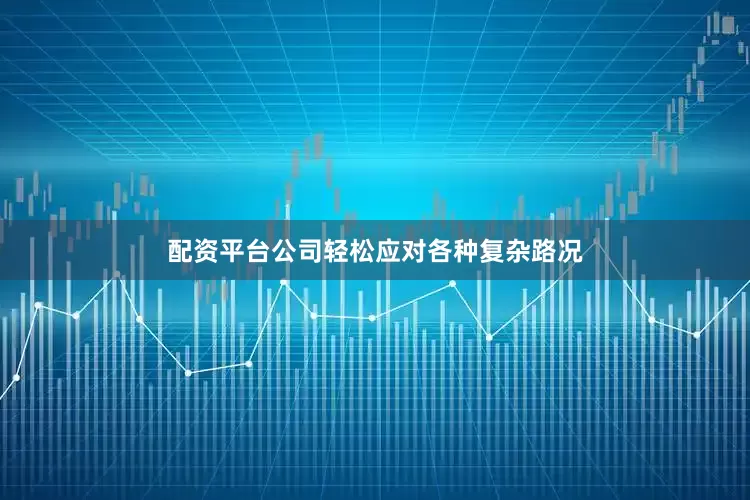 配资平台公司轻松应对各种复杂路况