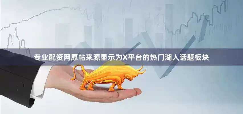专业配资网原帖来源显示为X平台的热门湖人话题板块